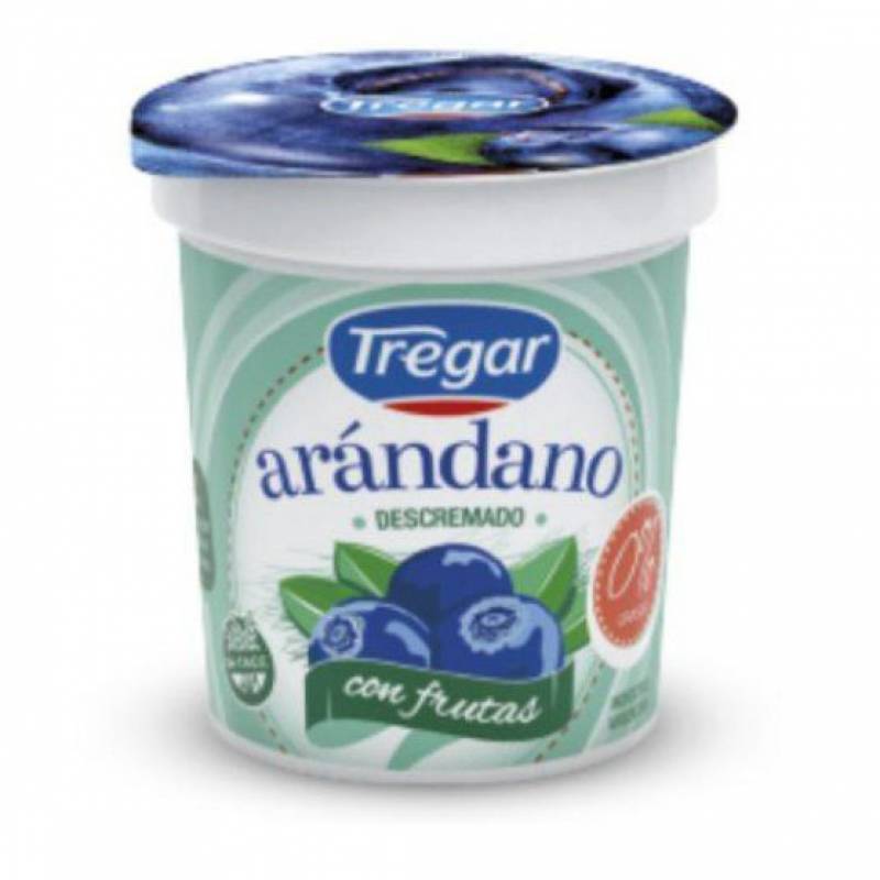 TREGAR YOGUR DESC x160g ARANDANO
