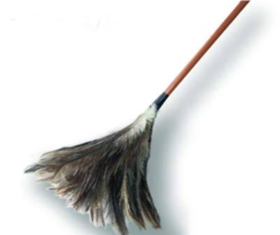 DUCANITO PLUMERO N°20