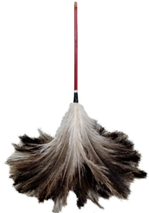 DUCANITO PLUMERO N°50