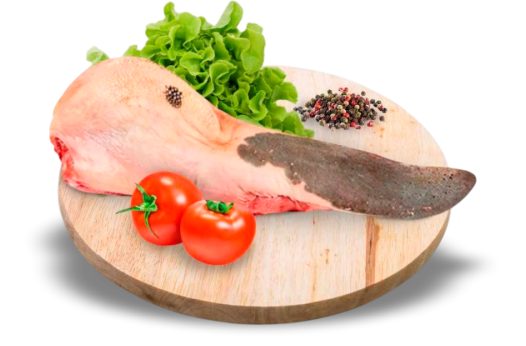 LENGUA xKG