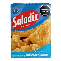 SALADIX GALLETA x100g PARMESANO